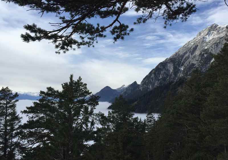 Wir lassen den Nebel hinter uns auf der Walderalm Wanderung oberhalb von Gnadenwald