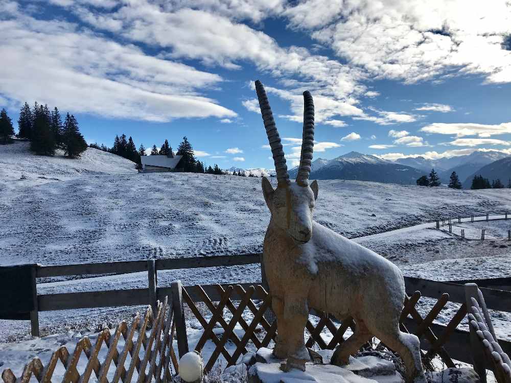 Der Blick von der Terrasse der Walderalm Richtung Tuxer Alpen