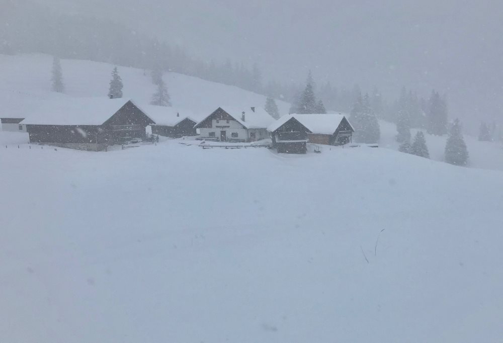 Im Schneetreiben zur Walderalm schneeschuhwandern - eine tolle Stimmung!