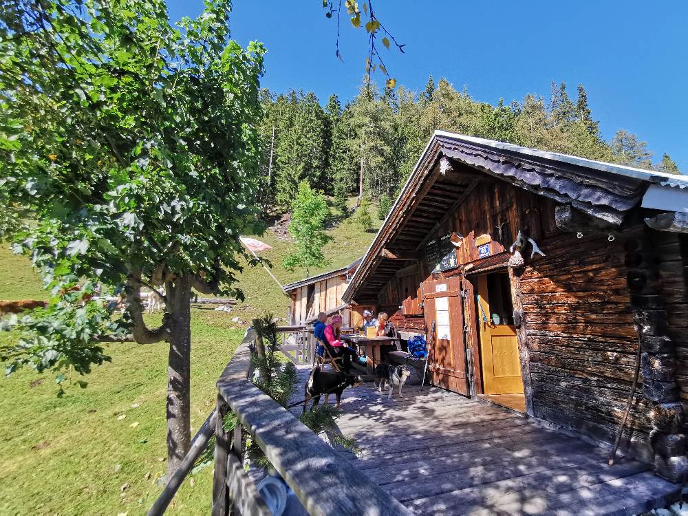 Schön zum Sitzen auf der urigen Waldhorbalm