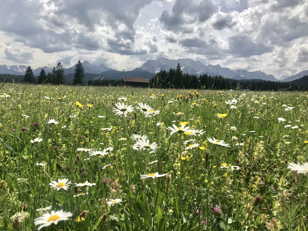 Mittenwald wandern