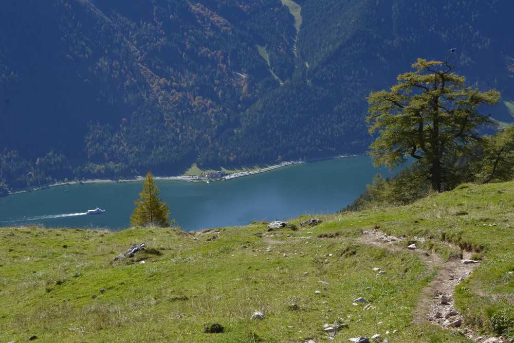 Zur Dalfazalm wandern und am Achensee die Schiffe beobachten