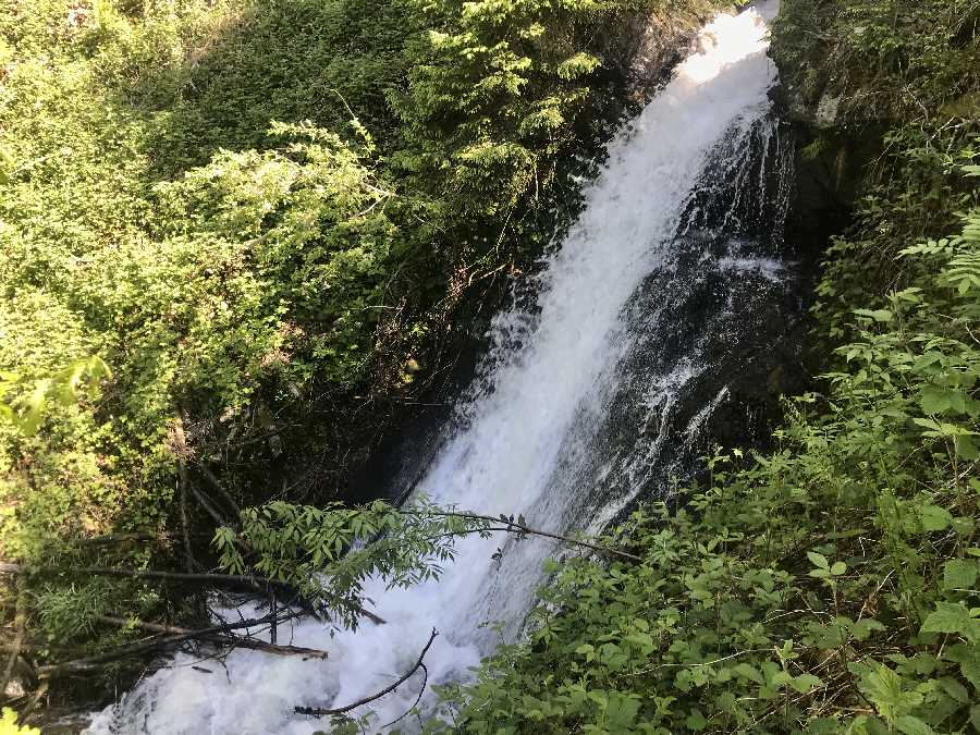 Wasserfall Zillertal - lautstark rauscht im Frühling das Wasser zwischen dem frischen Grün