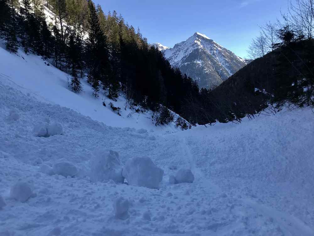 Eine der Lawinen im Weissenbachtal