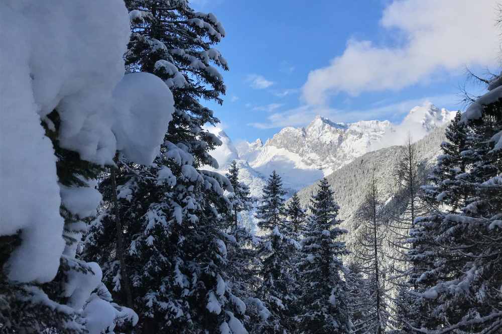 Beim Abstieg vom Hochfluder ins Satteltal tut sich zwischen den verschneiten Bäumen das Wettersteingebirge auf