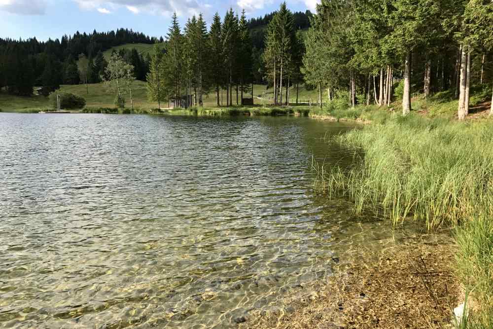 Glasklar und warm ist das Wasser zum Baden und Schwimmen im Wildensee