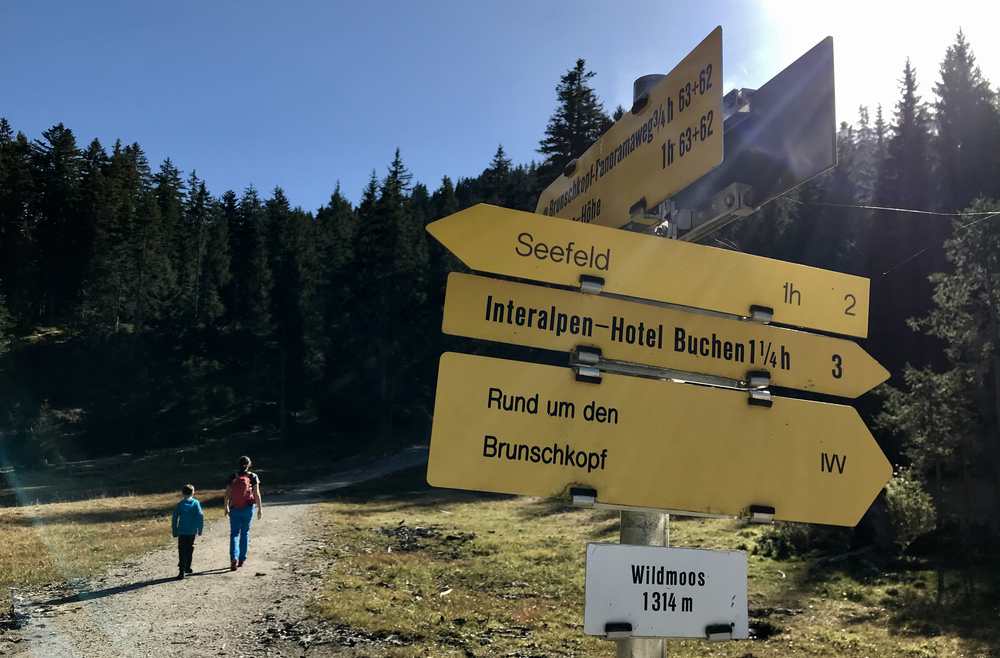 Von Wildmoos und der Wildmoosalm wandern wir hinauf auf den Brunschkopf