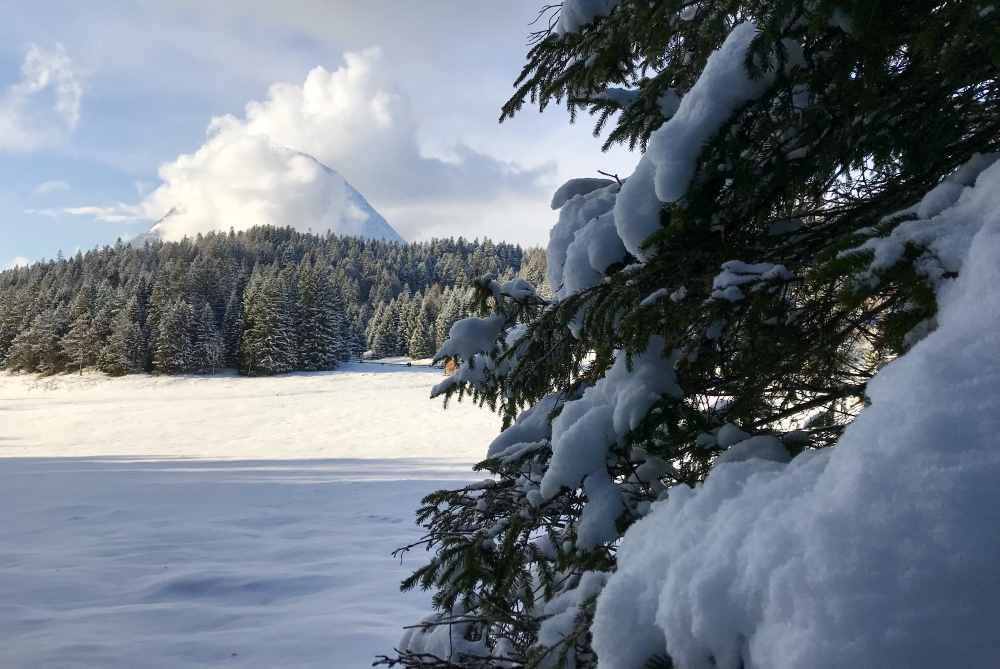 In dieser Mulde sammelt sich der Wildmoossee - wenn er gerade da ist. Hinten die Hohe Munde in den Wolken.