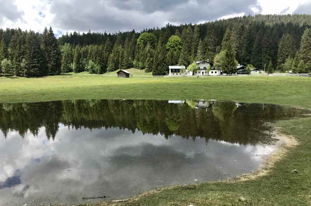 Rund um den Wildmoossee wandern 