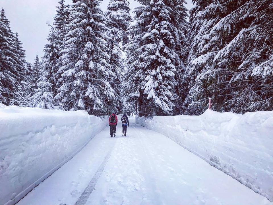 Die Seele baumeln lassen beim Winterwandern im Karwendelgebirge