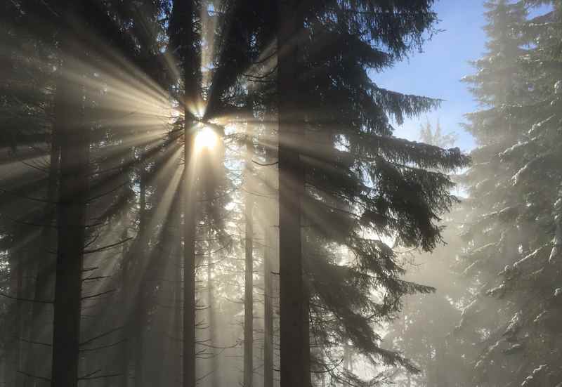 Zurück ins Tal - davor noch eine tolle Winterstimmung an der Nebelgrenze