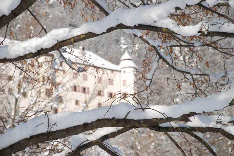 Wunderschön winterwandern in Stans zum Schloss Tratzberg