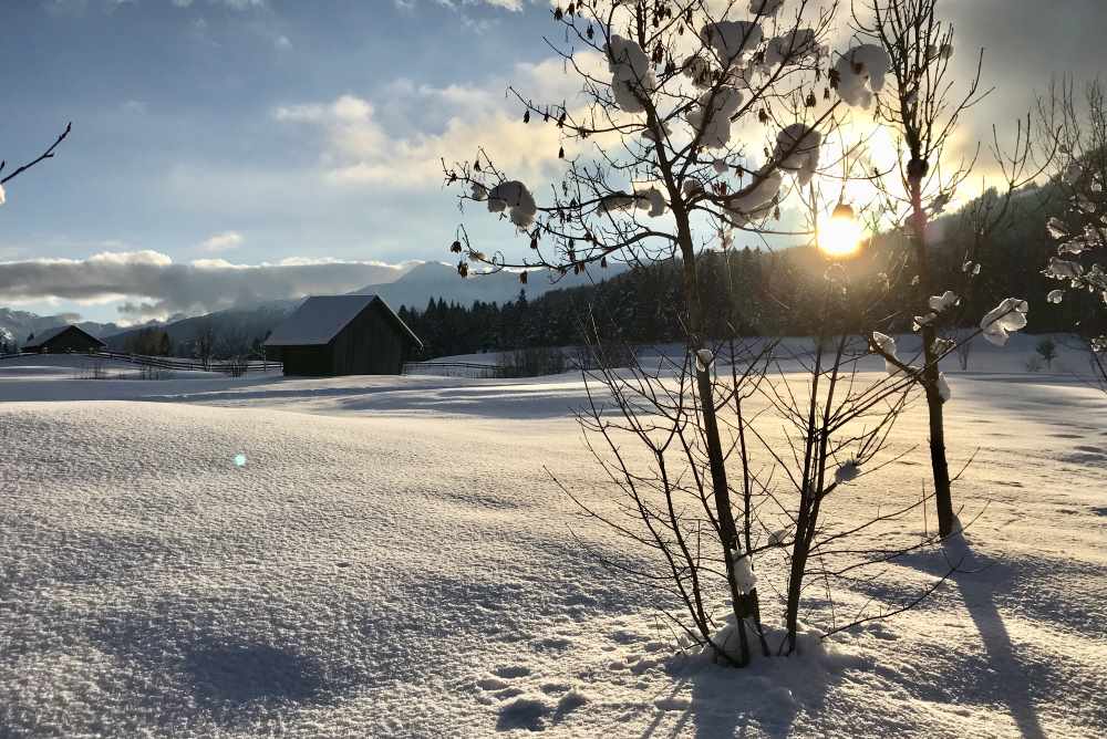 Stimmungsvolle Winterwanderungen beim Karwendel - hier in Seefeld Winter am Wildsee