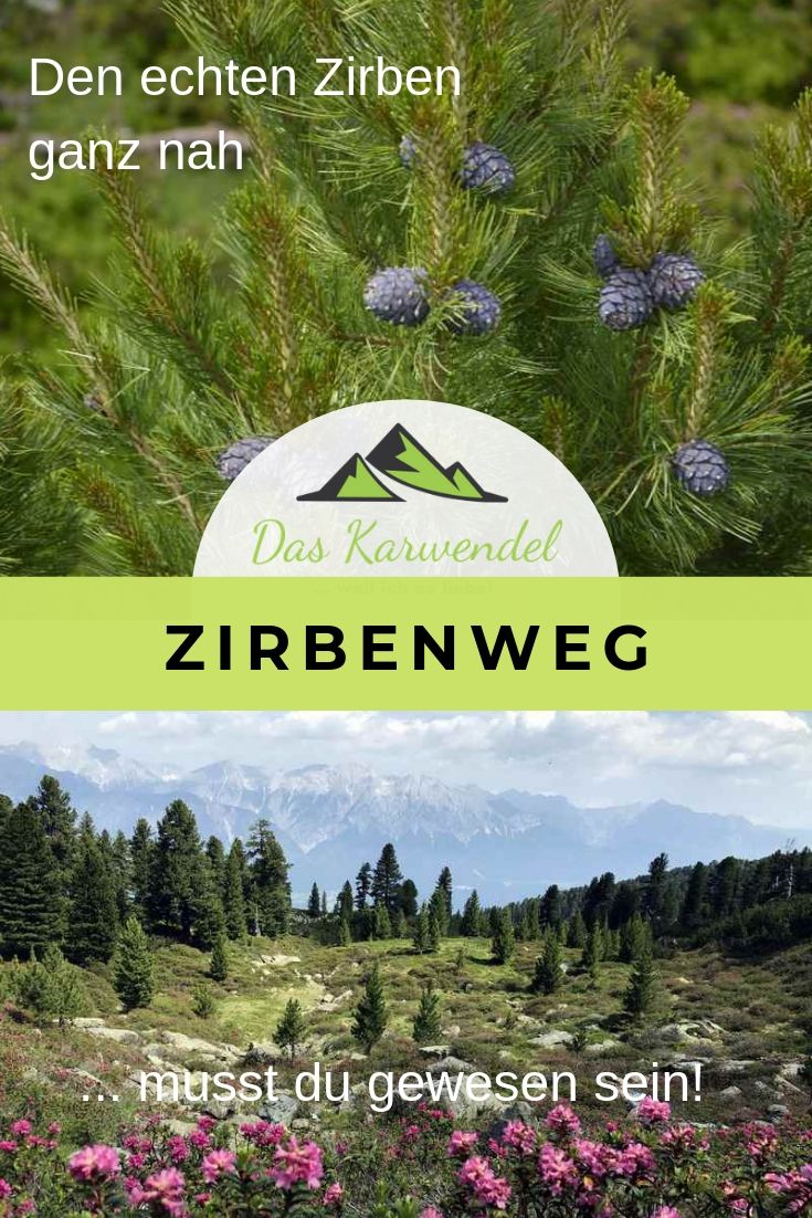 Merk dir diesen Pin vom Zirbenweg Innsbruck!