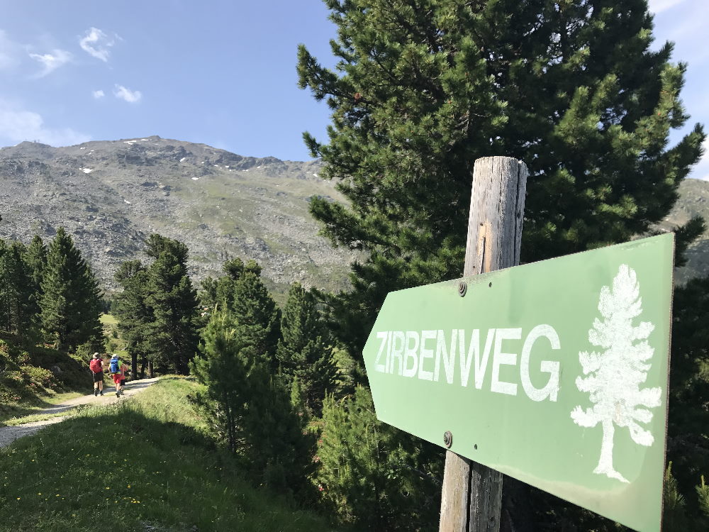 Zirbenweg Innsbruck wandern: Hier unser Bild am Glungezer