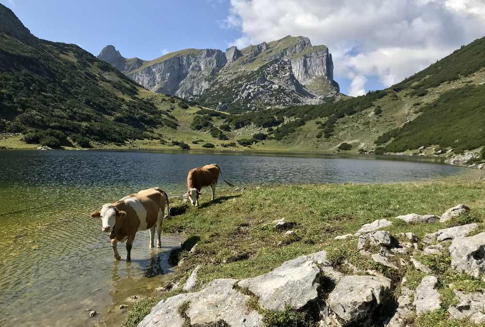 Im Sommer für mich einer der schönsten Plätze im Rofan: Der Zireiner See