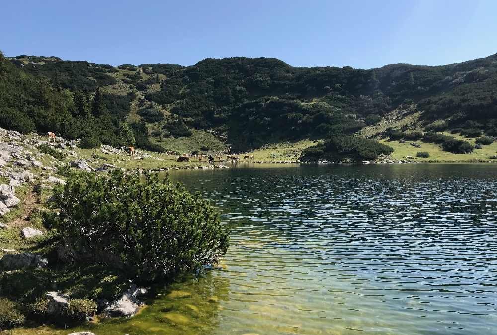 Danach kommst du direkt ans Ufer und kannst im Bergsee sogar baden oder schwimmen!