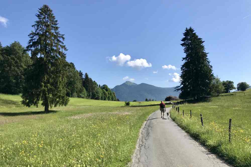 Leicht zu wandern am Walchensee: Auf der Halbinsel Zwergern