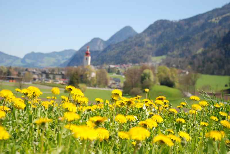 Im Frühling mountainbiken in Buch Tirol: Schöne Frühlingstour ab April 