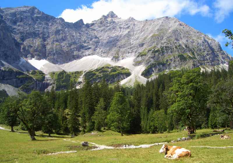 Hüttenwanderungen: Der kleine Ahornboden befindet sich auf der bekanntesten Hüttenwanderung im Karwendel, der mehrtägigen Karwendeltour.