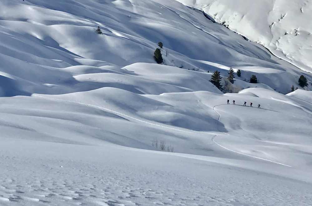 Aus dem Nurpenstal geht es über dieses Gelände auf den Gipfel in den Tuxer Alpen