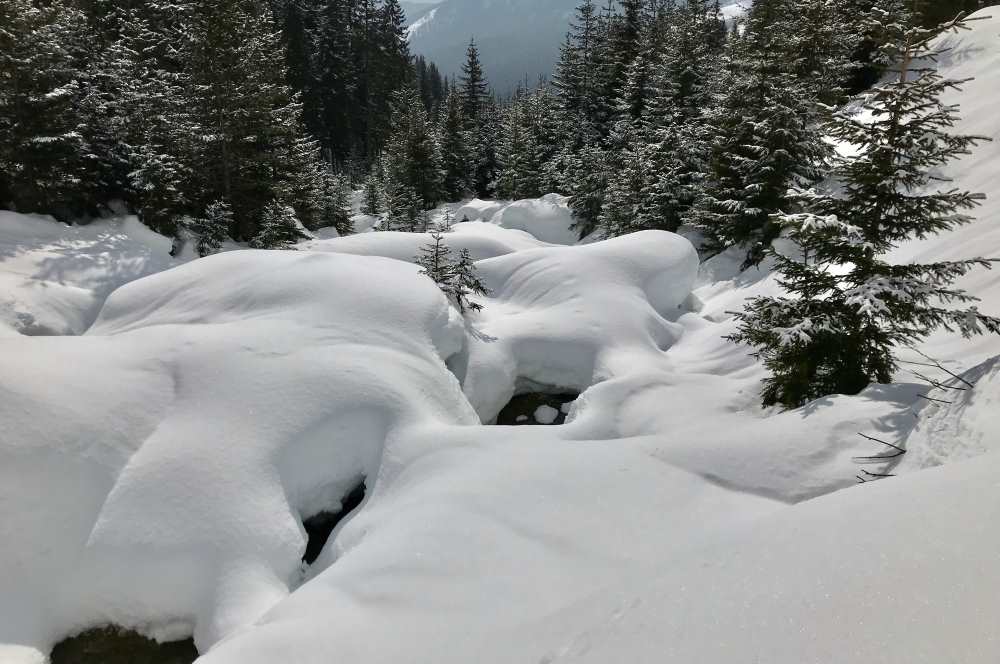 Bei dieser Winterlandschaft finde ich im Seefeld Winter echte Entspannung!