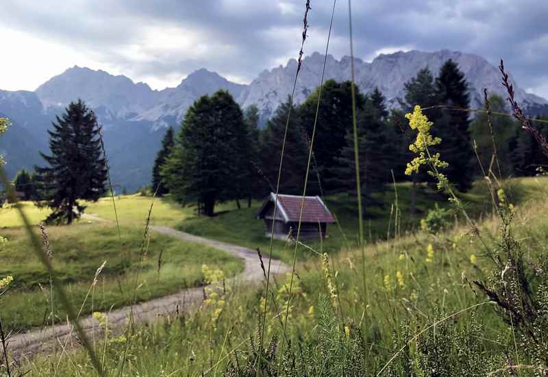 So schön kannst am Kranzberg in Mittenwald wandern - auf dem Weg zum Wildensee 