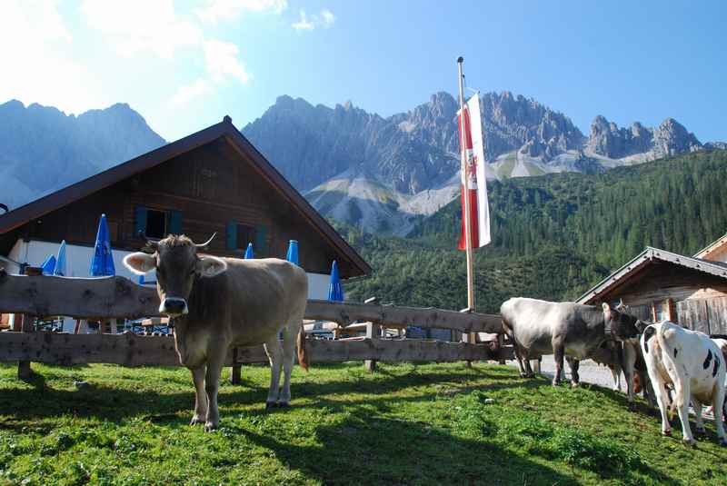 Wunderschöne ruhige Wanderung in Seefeld zur Eppzirler Alm im Karwendel