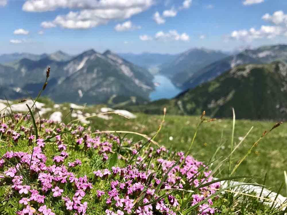 In Stans wandern kannst du so - mit Blick auf den Achensee oder hinein in die Täler des Karwendel