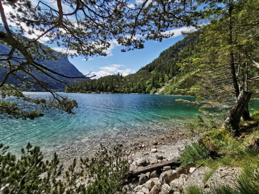 Entdecke die schönsten Buchten auf deinem Achensee Spaziergang