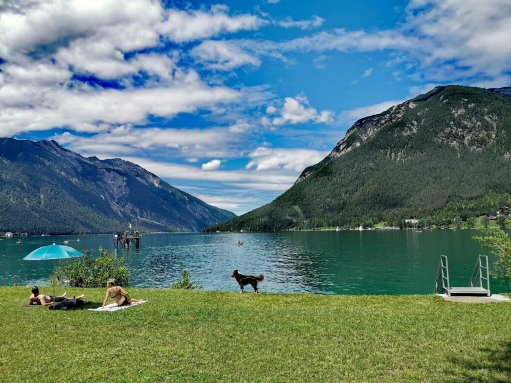 Achensee mit Hund - alle Tipps für deinen Hundeurlaub in Tirol