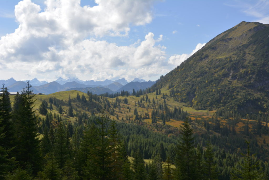 Tolle Karwendelkulisse oberhalb vom Bächental