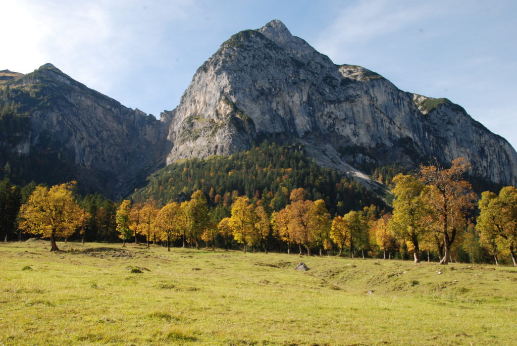 Ahornboden Herbst - das Licht verzaubert die bunten Blätter der Ahornbäume