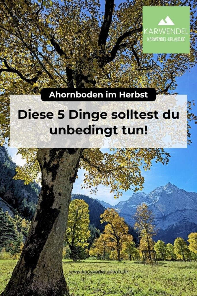 Ahornboden Herbst