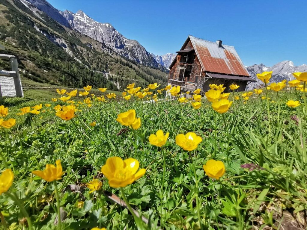 Ahornboden Hütten im Frühling: Die Plumsjochhütte zwischen Ahornboden und Achensee