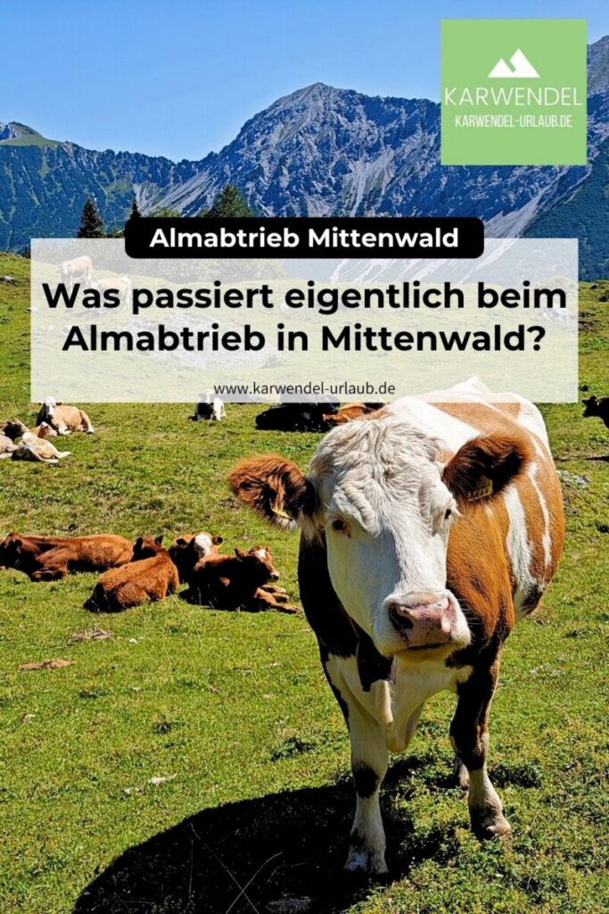Almabtrieb Mittenwald