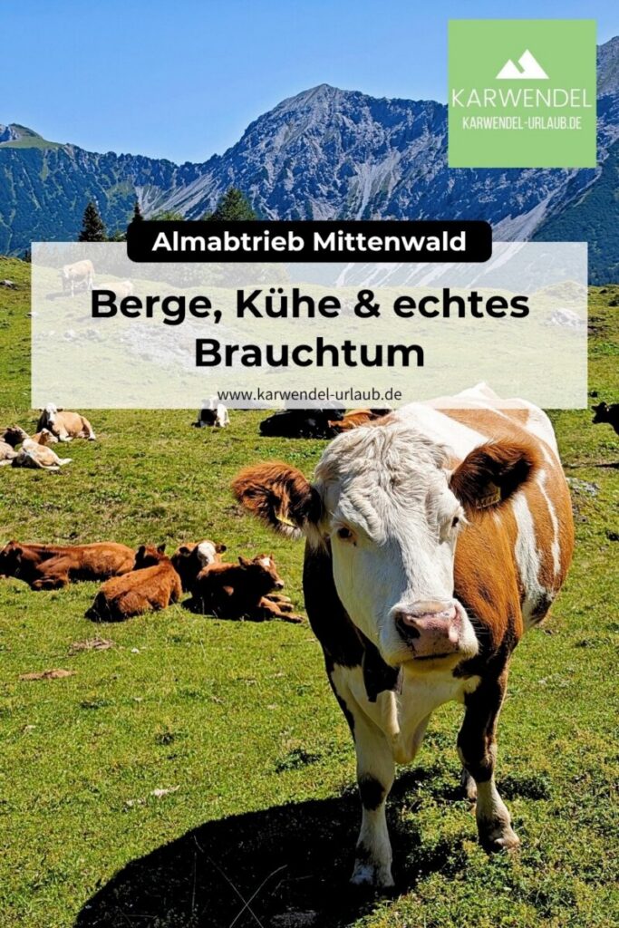 Almabtrieb Mittenwald