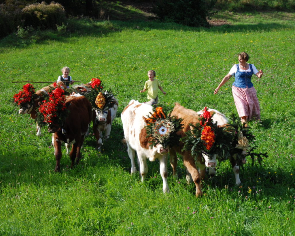 Der Almabtrieb in Tirol