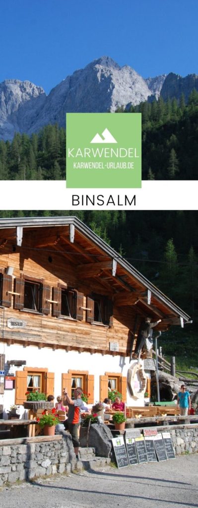 Binsalm