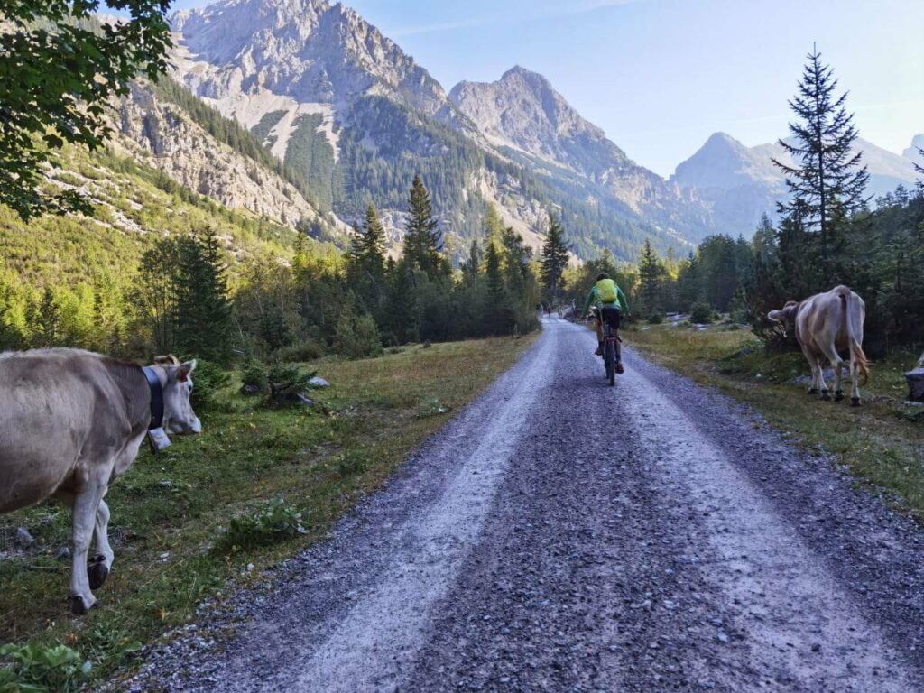 Birkkarspitze Bike & Hike Tour - ab Scharnitz mit dem Mountainbike oder E-Bike durch das Karwendeltal