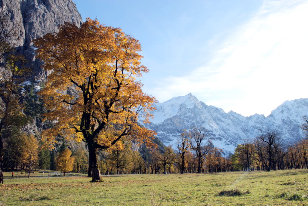 Herbst in Bestform: So schön ist dein Herbsturlaub am Großen Ahornboden