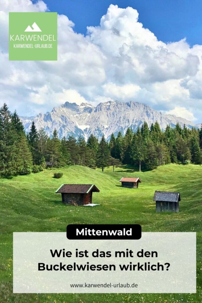 Buckelwiesen