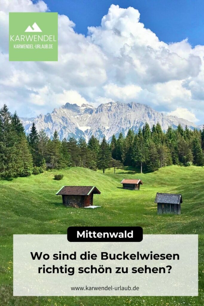 Buckelwiesen