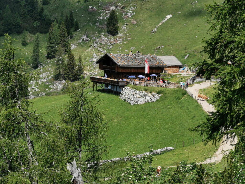 Dalfazalm Wanderung: Der erste Blick zur urigen Dalfazalm