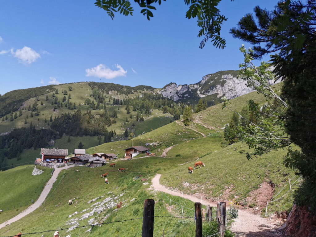 Entdecke die Schönheiten im Rofangebirge