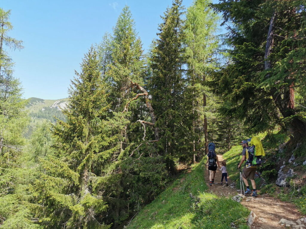 Geht gut: Die Dalfazalm Wanderung mit Kindern