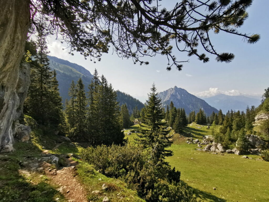 Das ist der Ausblick auf der Erfurter Hütte Wanderung zum Ebner Joch