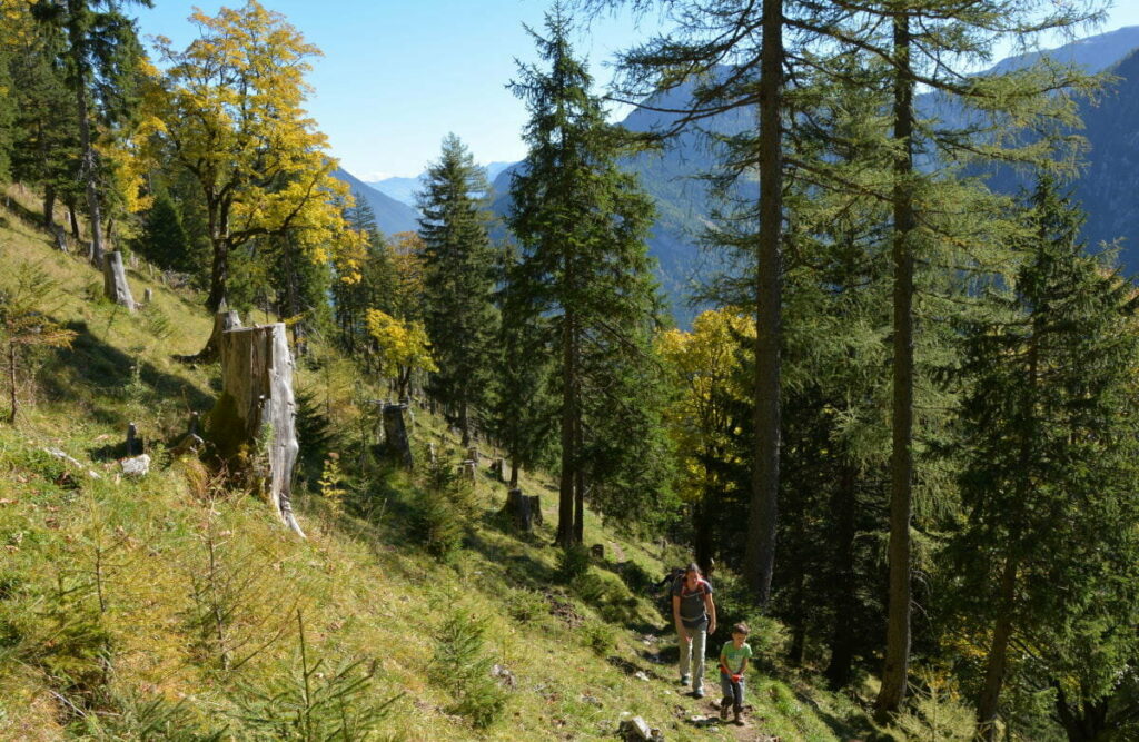 Auf den Feilkopf wandern - der Steig ist relativ steil