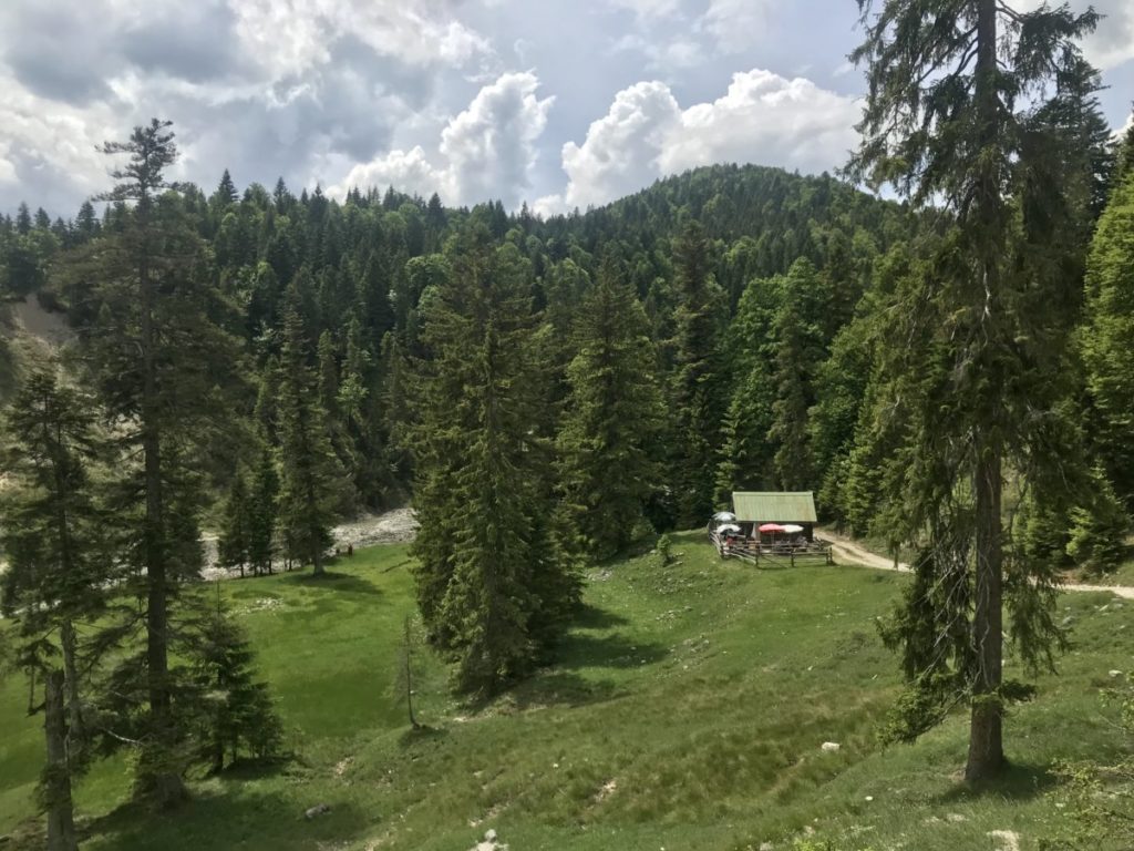 Das ist die alte Finzalm im Estergebirge