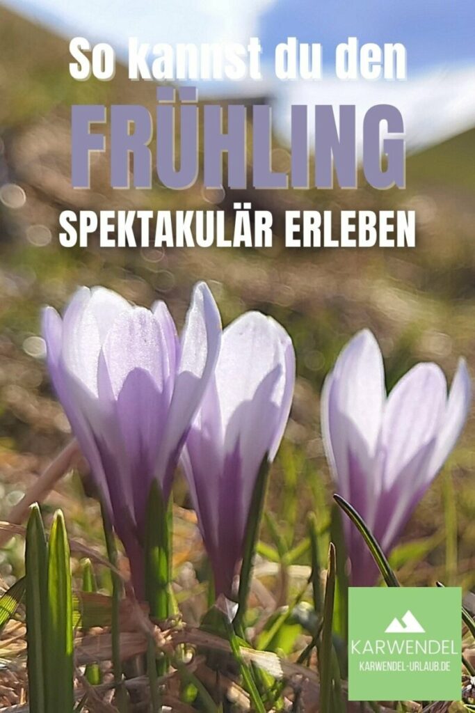 Frühling in den Alpen